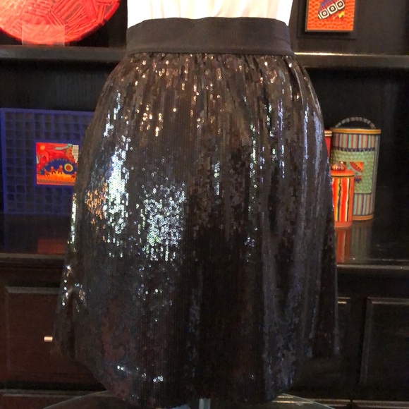 Ann Taylor Sequined Black Skirt Front Pleats, Pockets & Grosgrain Ribbon Waist - Picture 4 of 8